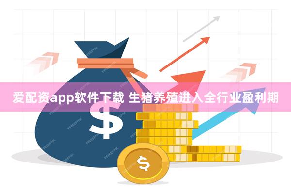 爱配资app软件下载 生猪养殖进入全行业盈利期