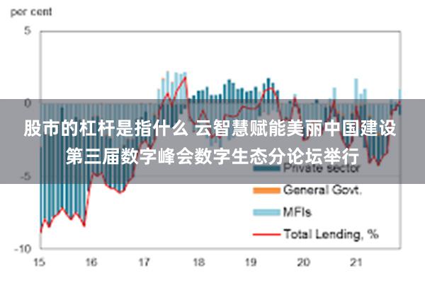 股市的杠杆是指什么 云智慧赋能美丽中国建设 第三届数字峰会数字生态分论坛举行