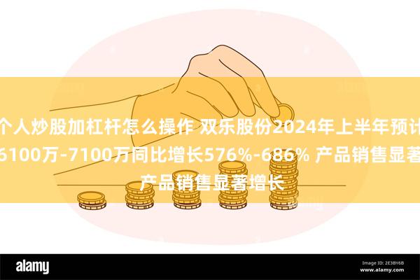 个人炒股加杠杆怎么操作 双乐股份2024年上半年预计净利6100万-7100万同比增长576%-686% 产品销售显著增长