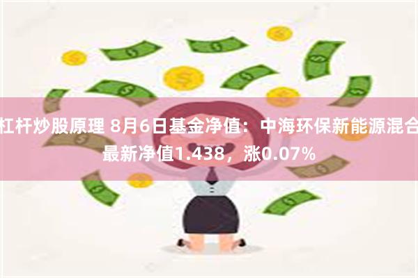 杠杆炒股原理 8月6日基金净值：中海环保新能源混合最新净值1.438，涨0.07%