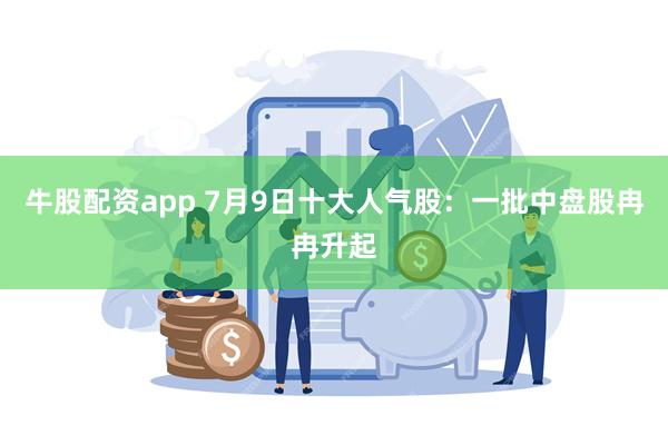 牛股配资app 7月9日十大人气股：一批中盘股冉冉升起