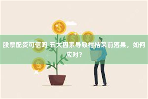 股票配资可信吗 五大因素导致柑桔采前落果，如何应对？