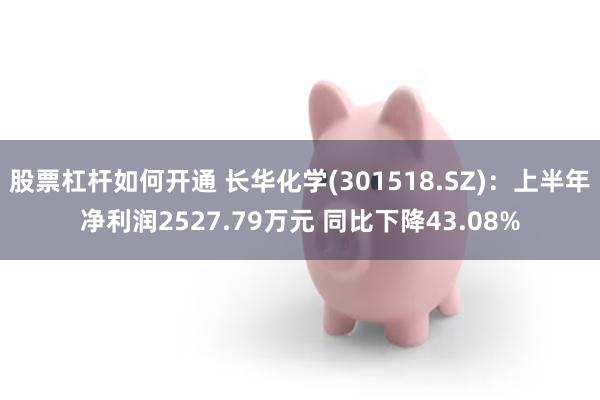 股票杠杆如何开通 长华化学(301518.SZ)：上半年净利润2527.79万元 同比下降43.08%