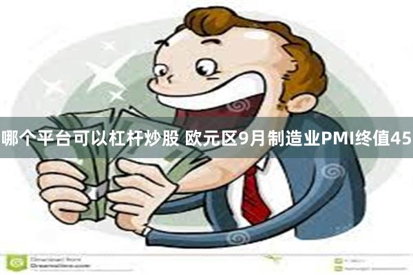 哪个平台可以杠杆炒股 欧元区9月制造业PMI终值45