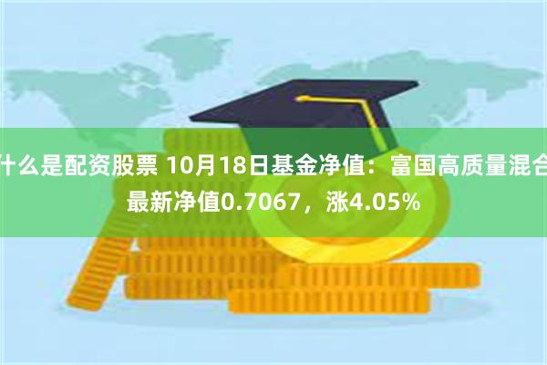 什么是配资股票 10月18日基金净值：富国高质量混合最新净值0.7067，涨4.05%