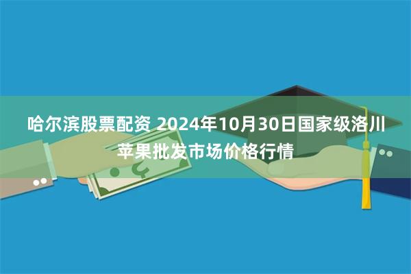 哈尔滨股票配资 2024年10月30日国家级洛川苹果批发市场价格行情