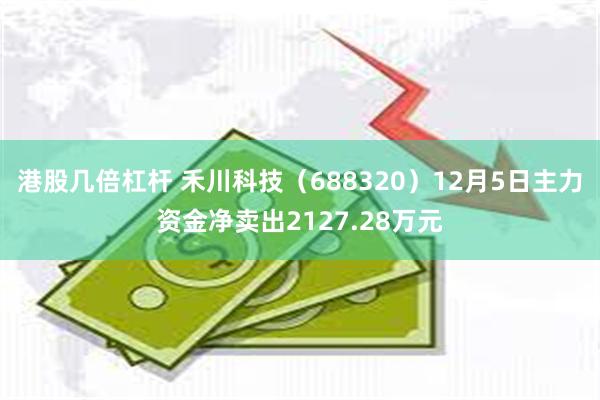 港股几倍杠杆 禾川科技（688320）12月5日主力资金净卖出2127.28万元