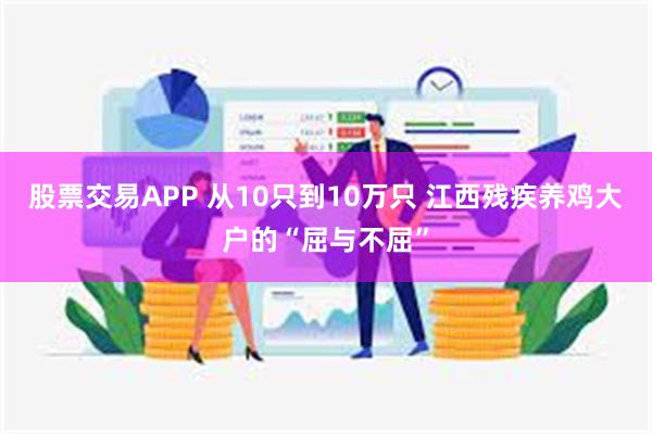 股票交易APP 从10只到10万只 江西残疾养鸡大户的“屈与不屈”