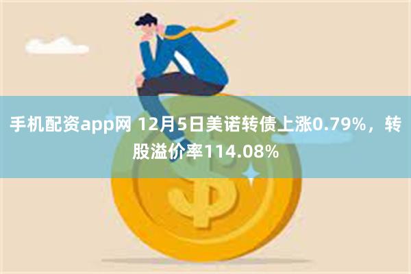 手机配资app网 12月5日美诺转债上涨0.79%，转股溢价率114.08%