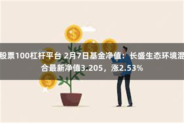 股票100杠杆平台 2月7日基金净值：长盛生态环境混合最新净值3.205，涨2.53%