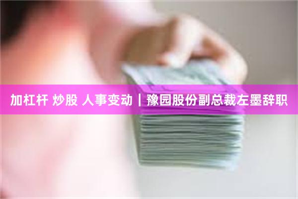 加杠杆 炒股 人事变动｜豫园股份副总裁左墨辞职