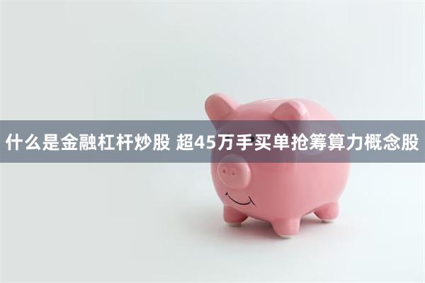 什么是金融杠杆炒股 超45万手买单抢筹算力概念股